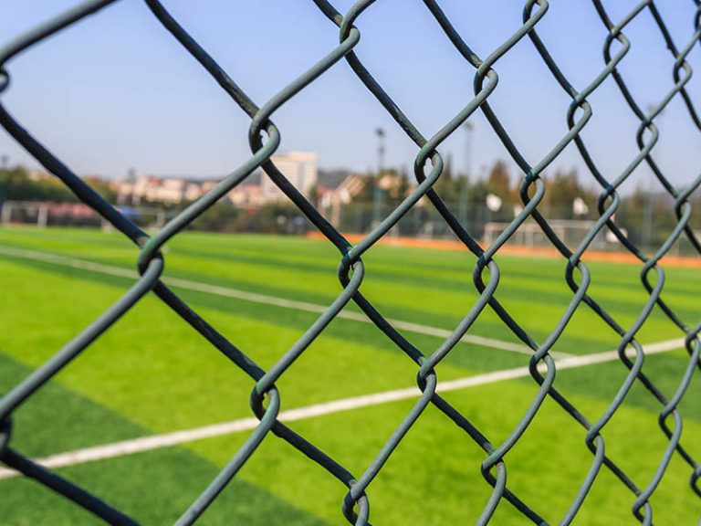 Fences Law in Las Vegas Electric Fence Laws Nevada